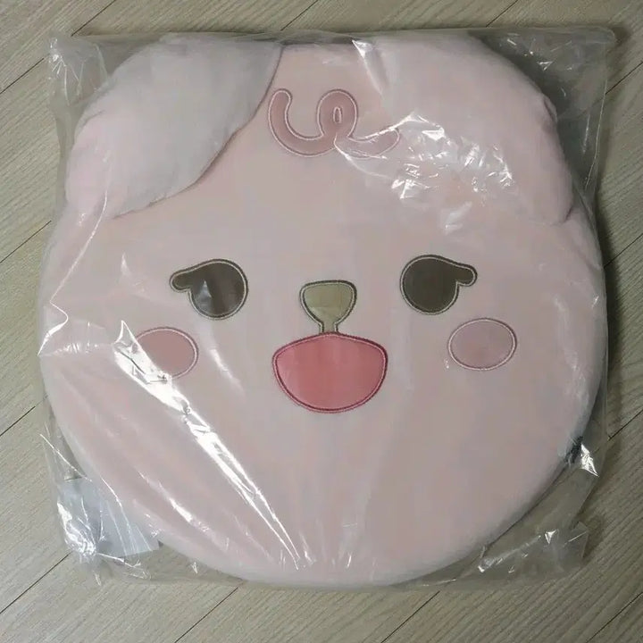 [BUNJANG] Day6 Petit Mels Cushion / 데이식스 쁘띠멀즈 방석 필