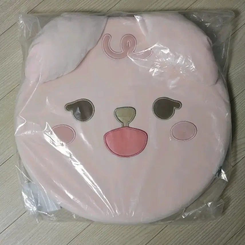 [BUNJANG] Day6 Petit Mels Cushion / 데이식스 쁘띠멀즈 방석 필