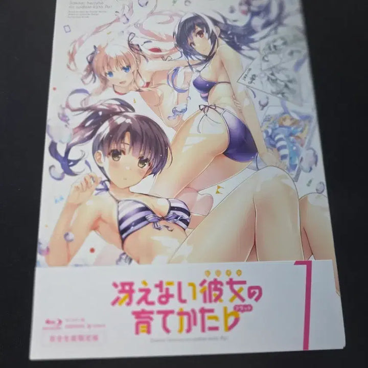 [BUNJANG] Saekano: How to Raise a Boring Girlfriend Blu-ray / 시원찮은 그녀를 위한 육성방법 Blu-ray