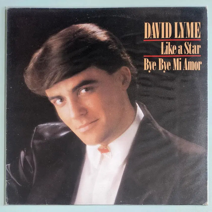 [BUNJANG] David Lyme Like a Star LP / LP David Lyme - Like a Star