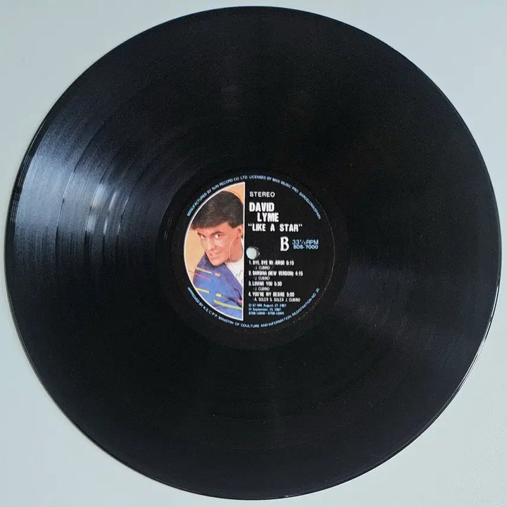 [BUNJANG] David Lyme Like a Star LP / LP David Lyme - Like a Star