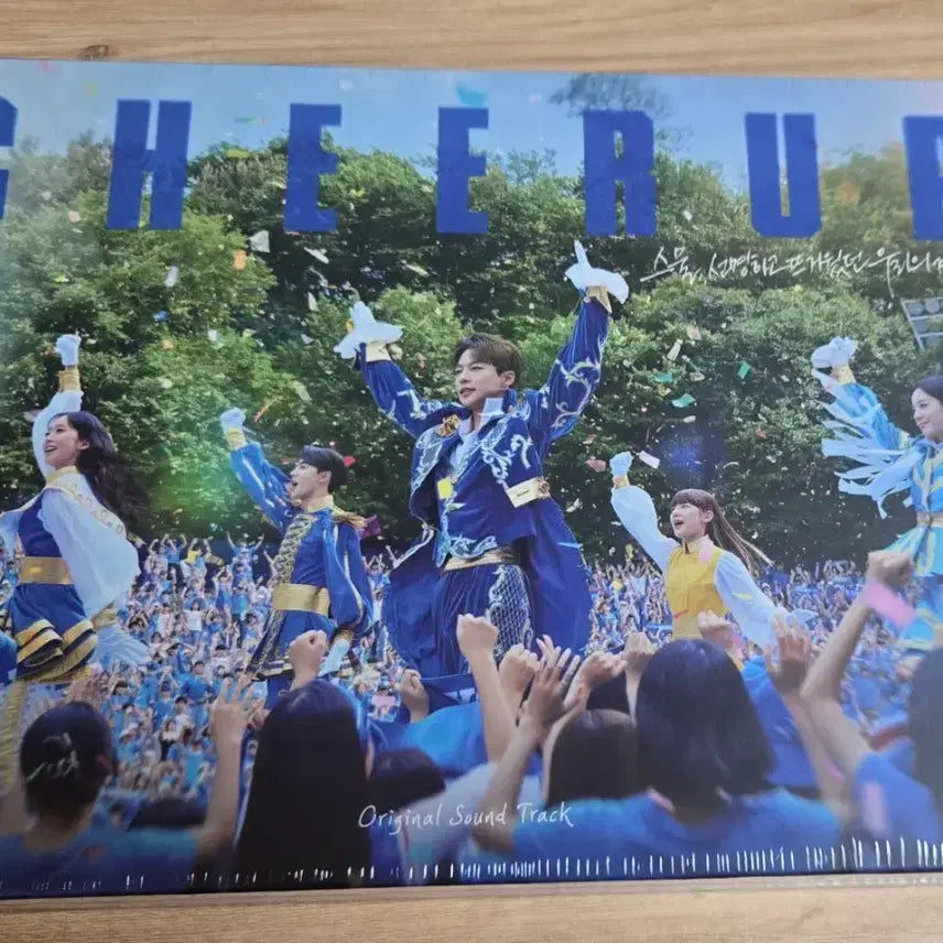 [BUNJANG] Cheer Up OST Album Sealed / 치얼업 ost 앨범 미개봉품 배인혁 장규리 한지현 김현진