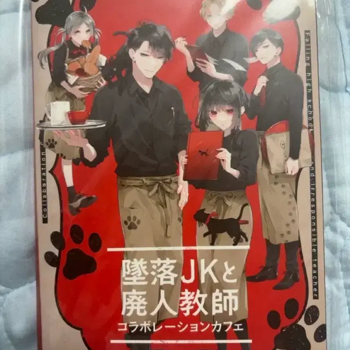 [BUNJANG] Falling High School Girl and the Pervert Teacher Cafe Postcard Set / 미개봉) 추락여고생과 폐인교사 카페 엽서 세트