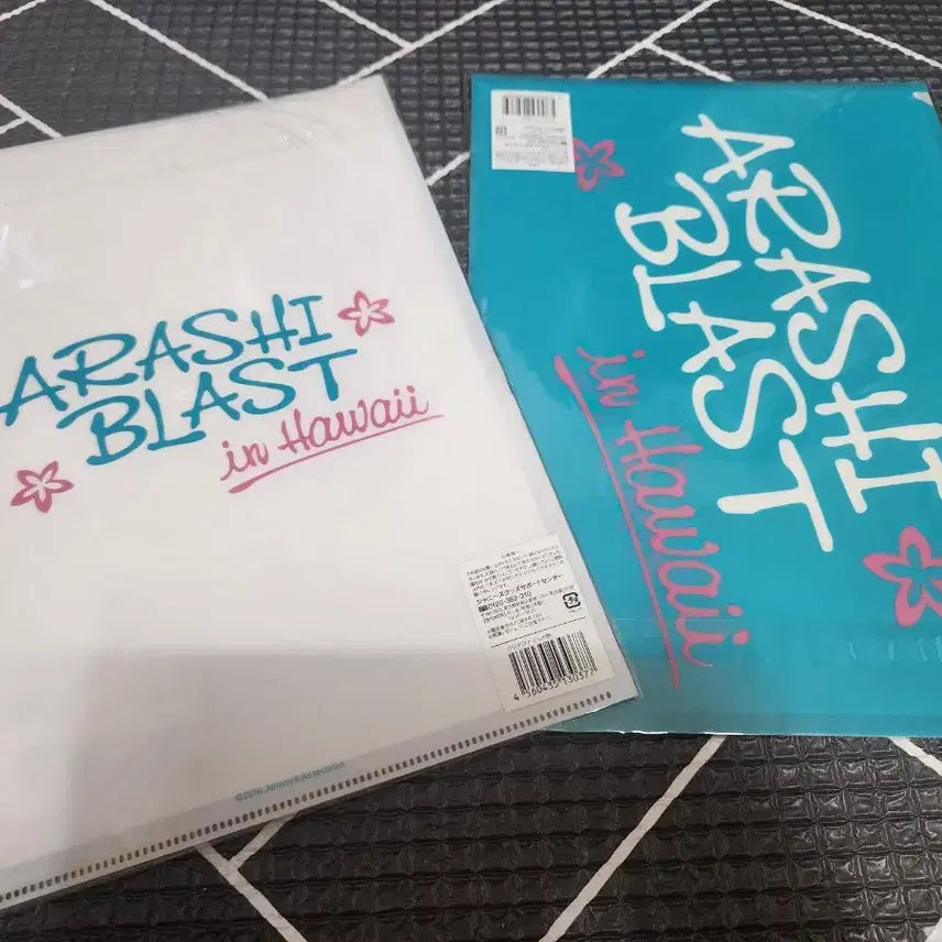 [SOLD OUT] ARASHI hawaii 클리어화일 2종   아라시
