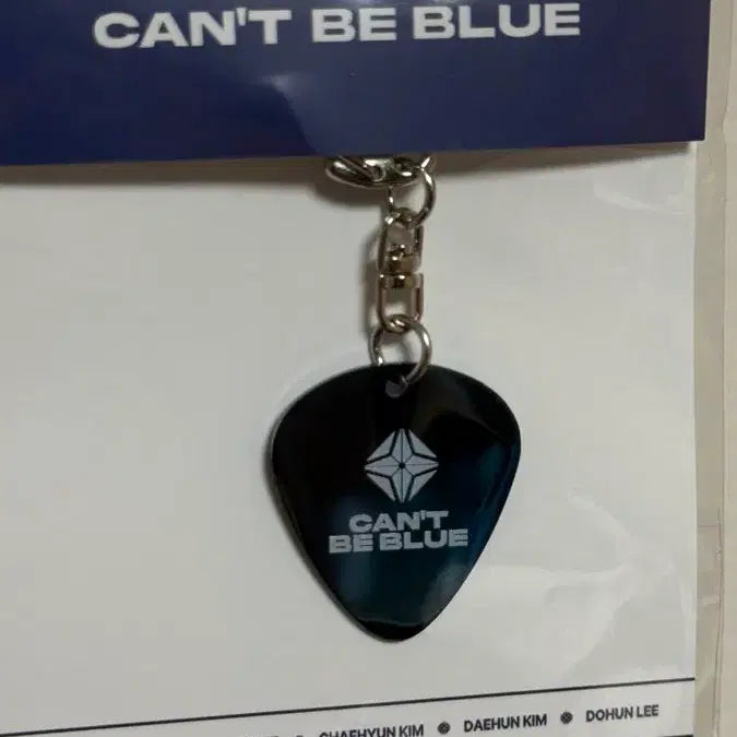 [BUNJANG] CantBeBlue Guitar Pick Keychain / 캔트비블루 기타 피크 키링