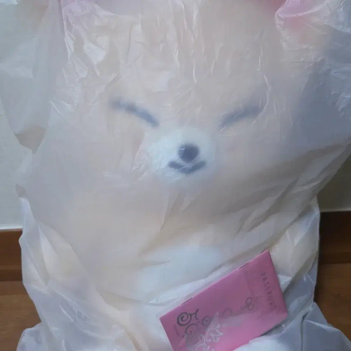 [SOLD OUT] (팔아요) 스키주 TEDDYBEAR 인형 + 여권 판매 합니다.