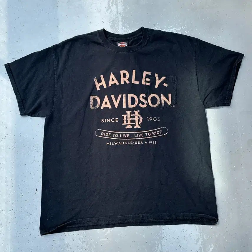 [BUNJANG] Harley-Davidson Vintage Arch Tee / [할리데이비슨] Vintage Arch Tee