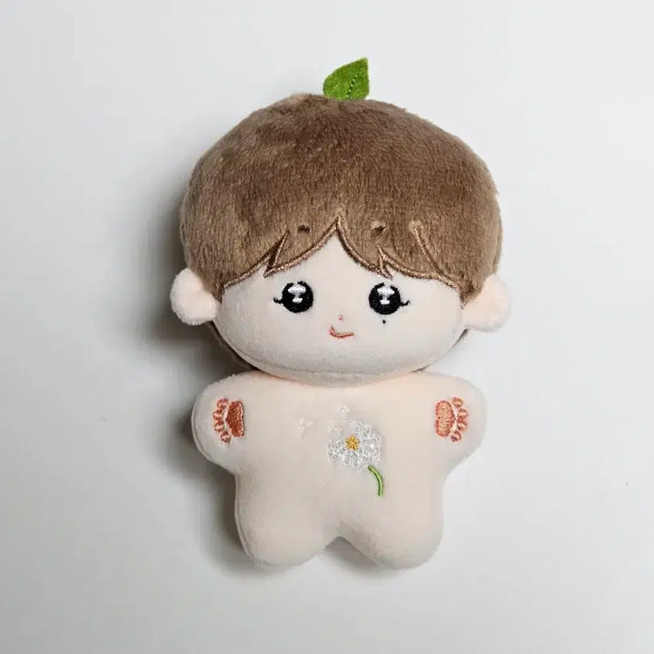 [SOLD OUT] 세븐틴 인형 일괄 양도