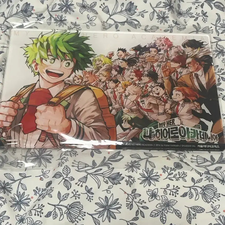 [BUNJANG] My Hero Academia Acrylic Stand / 나히아 모두와 함께 아크릴