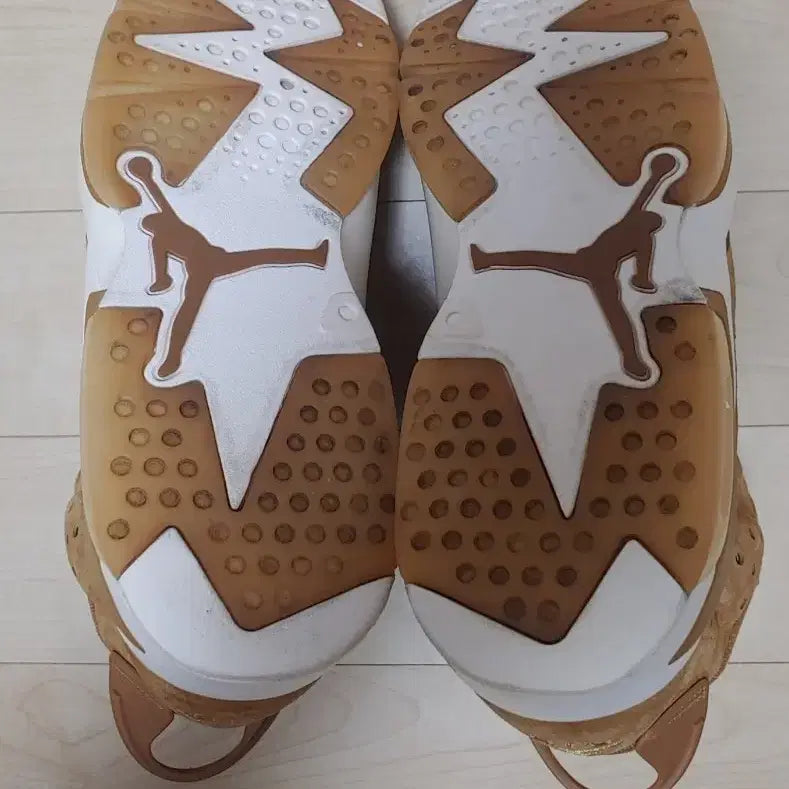 [BUNJANG] Jordan 6 Retro Wheat (Brown) Sneakers / [된장조던] 조던 6 레트로 위트 285