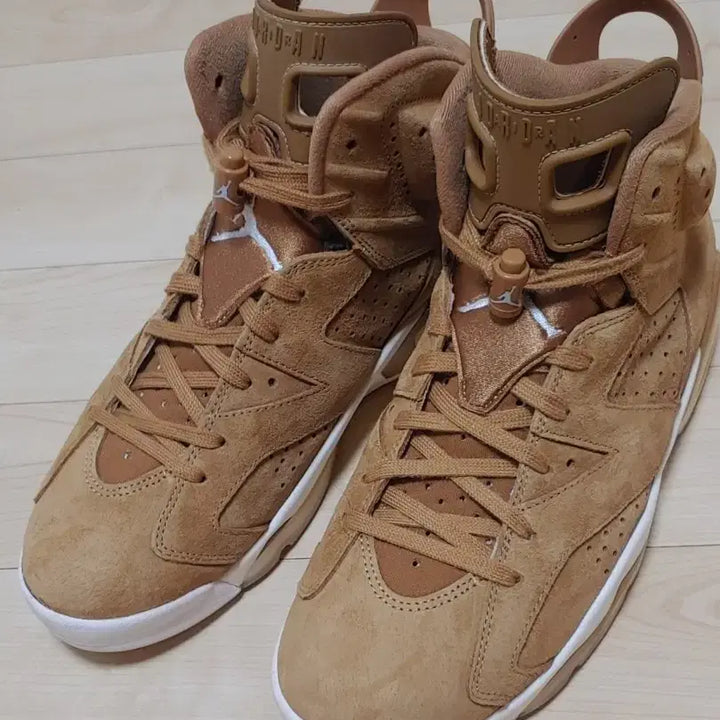 [BUNJANG] Jordan 6 Retro Wheat (Brown) Sneakers / [된장조던] 조던 6 레트로 위트 285