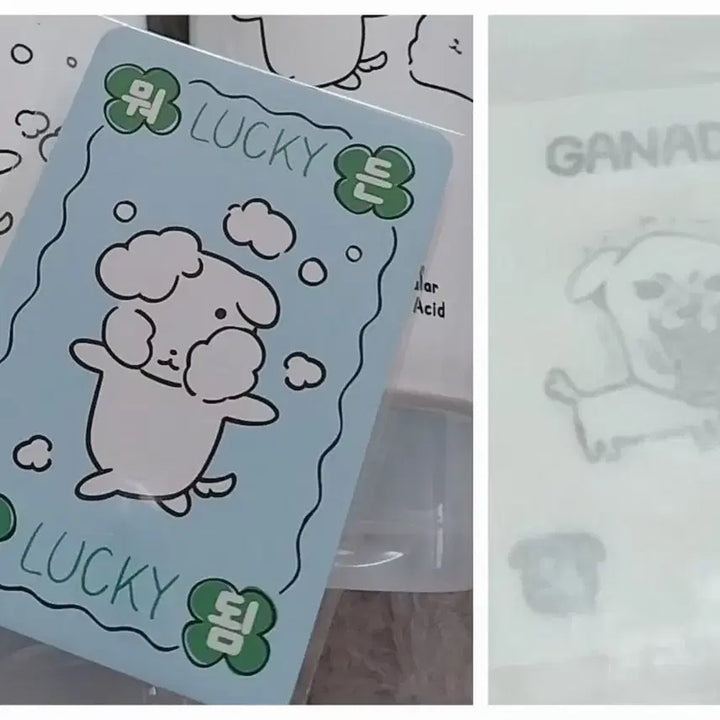 [BUNJANG] Ganadi Photocard + Sticker Bundle Set / 가나디 포토카드+띠부실(36) 일괄