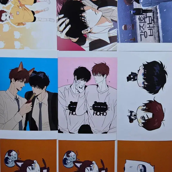 [BUNJANG] HOHOSANGBAG Printing Box Bundle Set / 호호상박 프박 프린팅 박스