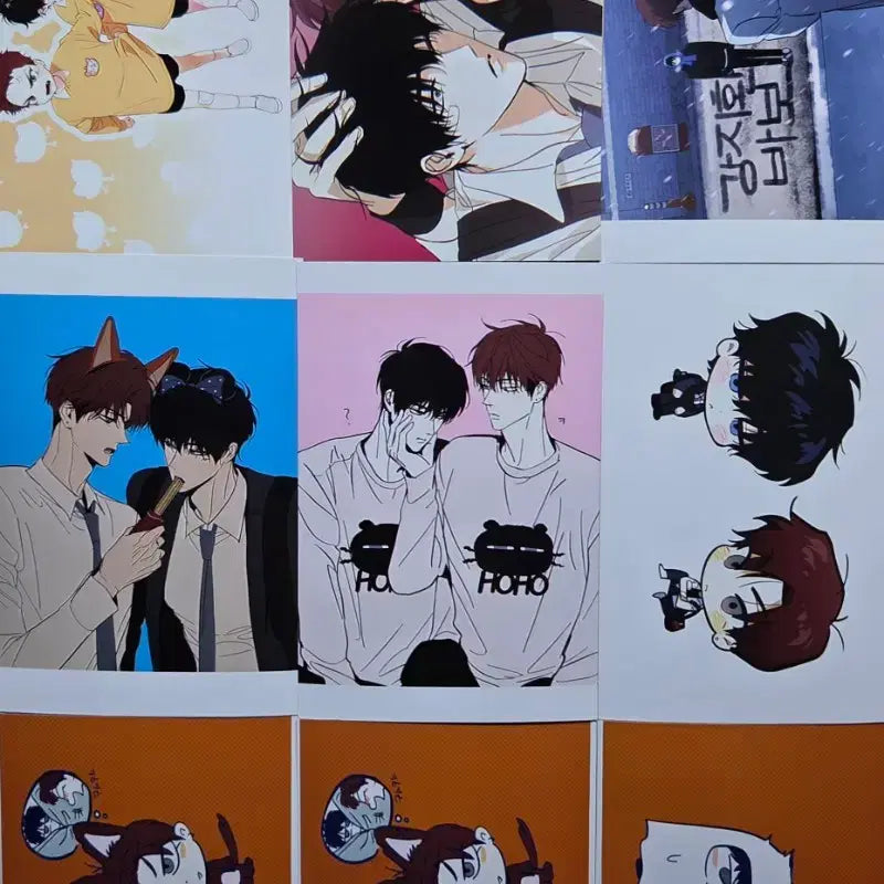 [BUNJANG] HOHOSANGBAG Printing Box Bundle Set / 호호상박 프박 프린팅 박스