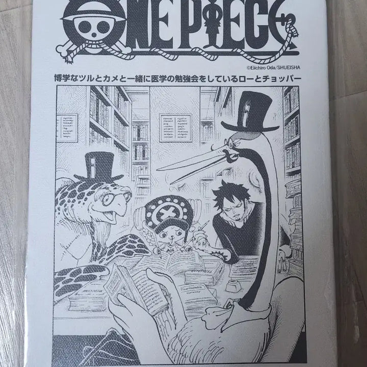 [BUNJANG] One Piece Law Chopper Cover Art Canvas / 원피스 로우 쵸파 표지연재 캔버스
