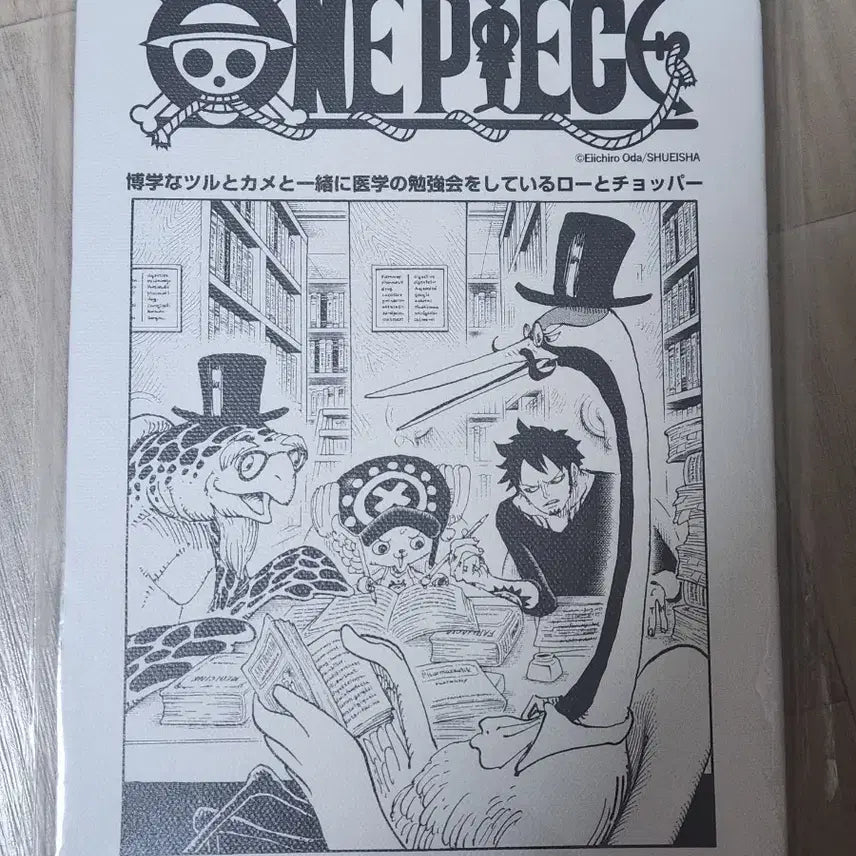 [BUNJANG] One Piece Law Chopper Cover Art Canvas / 원피스 로우 쵸파 표지연재 캔버스