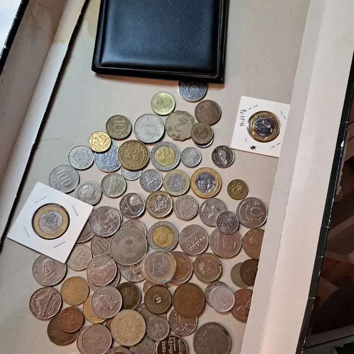 [BUNJANG] Assorted Foreign Coins Collection with Album / 외국 동전 모음 + 앨범 팝니다