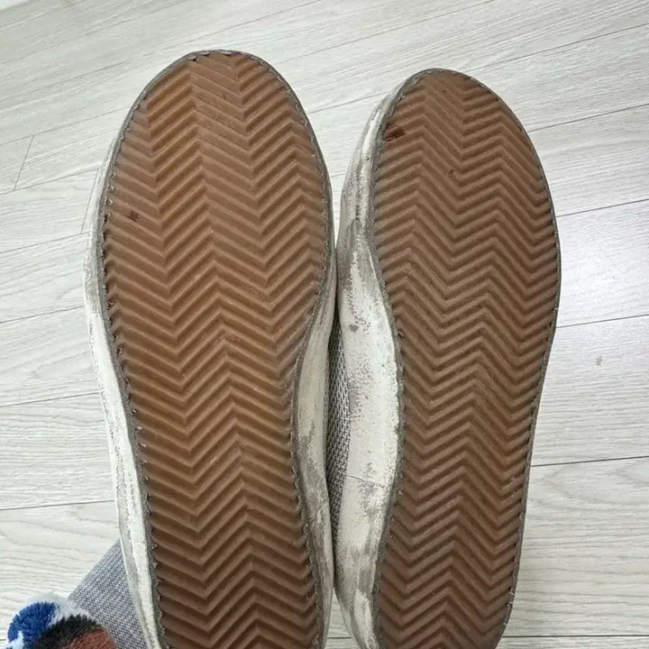 [SOLD OUT] 골든구스 운동화 37