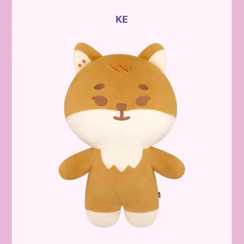 [SOLD OUT] 데이식스 자이언트 쁘멀 케 미개봉 양도