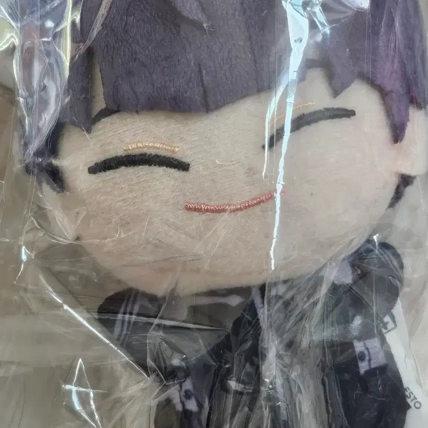 [BUNJANG] Kaiju No. 8 Hoshina Chibi Plush / 괴수 8호 호시나 치비구루미