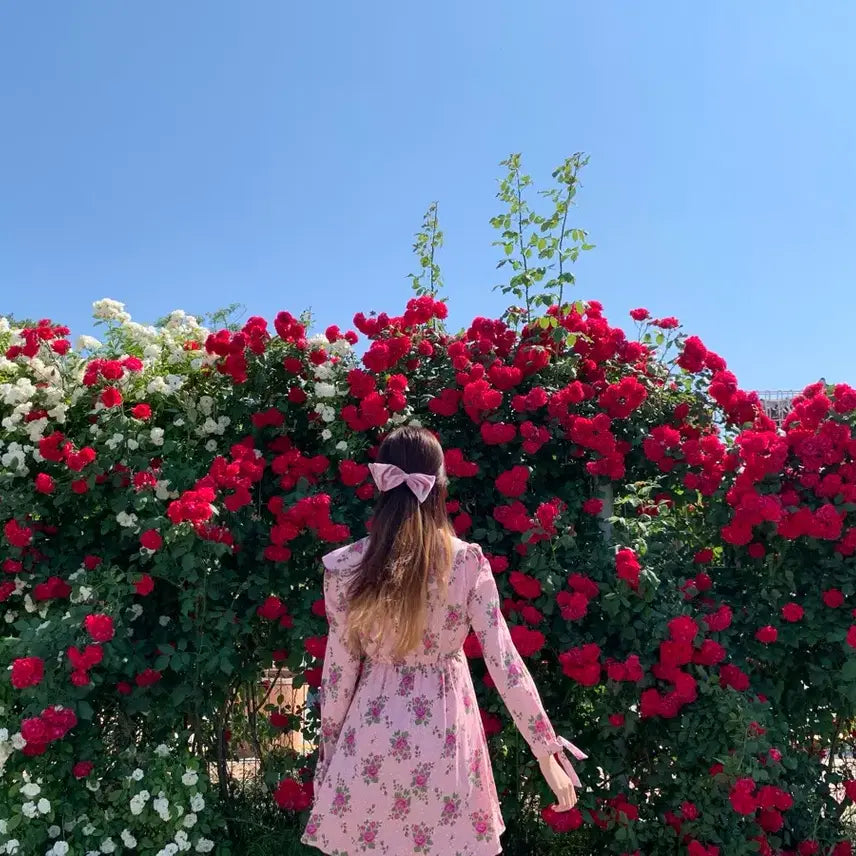 [BUNJANG] Rose Pattern Mini Dress / [착용 1회] 장미 미니 원피스