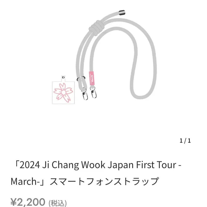 [BUNJANG] Ji Chang Wook Strap / 지창욱 일본굿즈