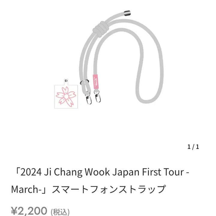 [BUNJANG] Ji Chang Wook Strap / 지창욱 일본굿즈