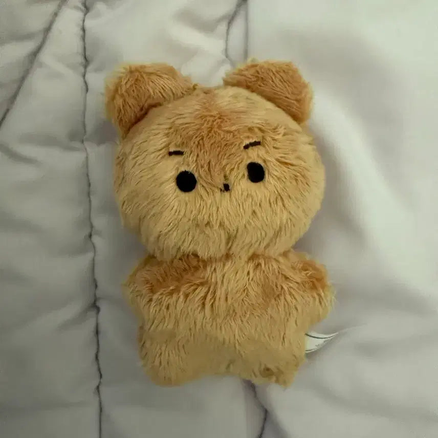 [SOLD OUT] 더보이즈 현재 재현 인형 달곰이