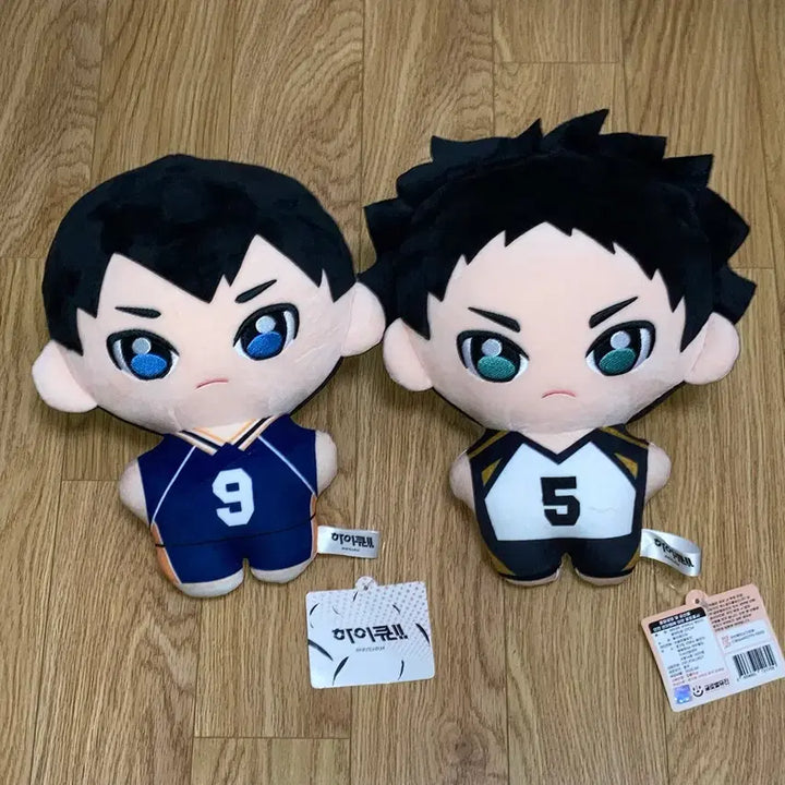 [BUNJANG] Haikyuu Kageyama Tobio Akaashi Keiji Medium Plush / 정품 새상품) 하이큐 카게야마 토비오 아카아시 케이지 중형 인형