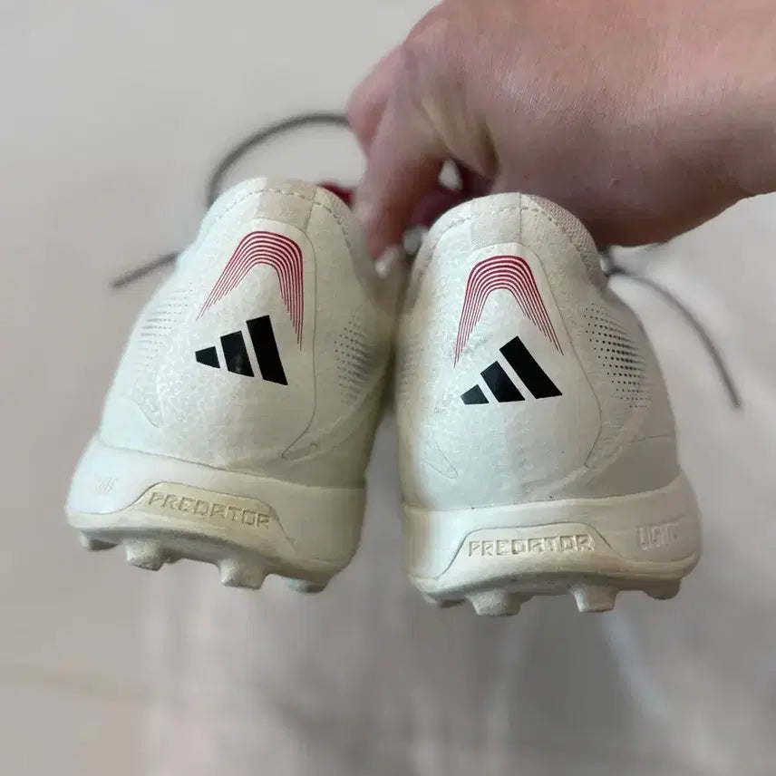 [BUNJANG] Adidas Predator Pro TF (285) Futsal Shoes / 아디다스 프레데터 프로 TF(285)