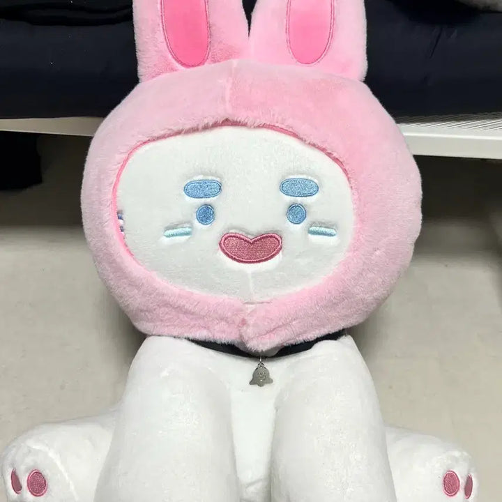 [BUNJANG] SHINee Onew 30cm Ttingnyangi Doll / 찡냥이 30cm 인형 온유