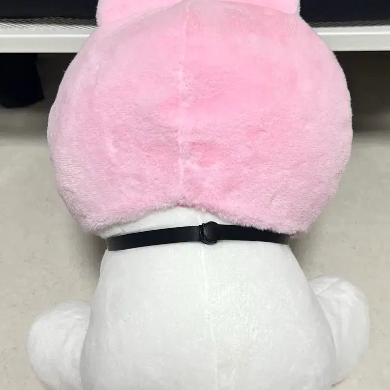[BUNJANG] SHINee Onew 30cm Ttingnyangi Doll / 찡냥이 30cm 인형 온유