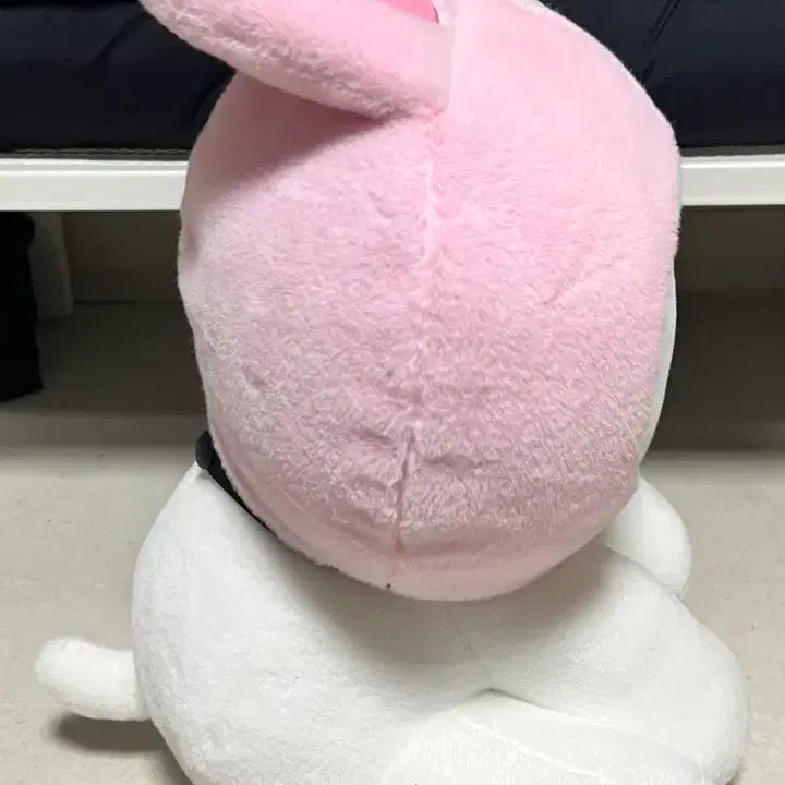 [BUNJANG] SHINee Onew 30cm Ttingnyangi Doll / 찡냥이 30cm 인형 온유