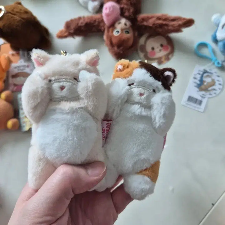 [BUNJANG] Bukkyeopnyang Keyring (New) / 부끄럽냥 키링 새상품 택O 일괄