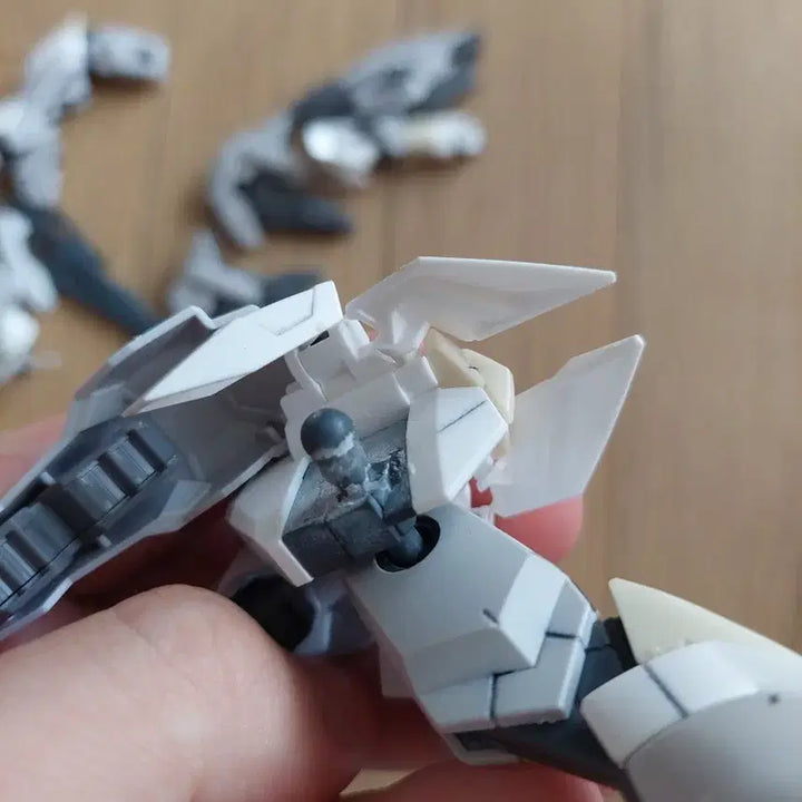 [BUNJANG] HG Gundam Reversible Model Kit / HG 건담 리버시블