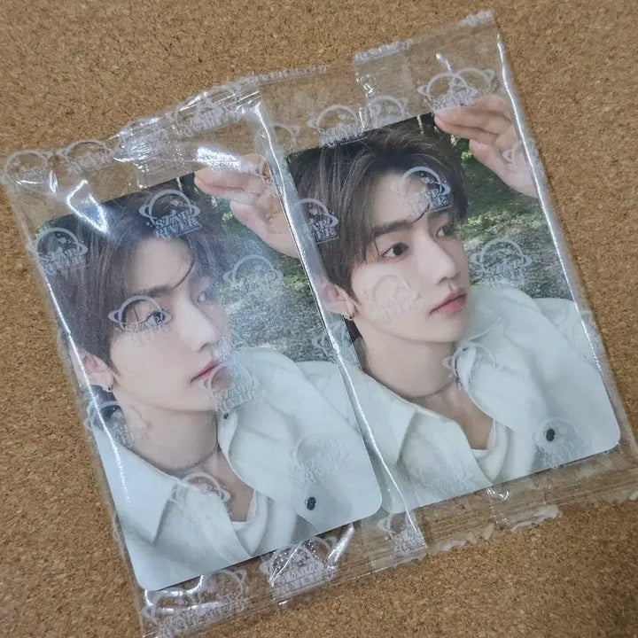 [BUNJANG] Zhuo Yuan Zhang Hao Star River Photocard / 제베원 장하오 스타리버 naver say naver 포카 판매