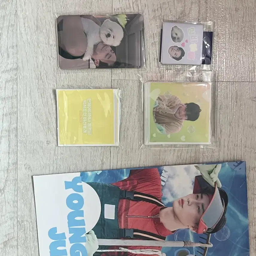 [BUNJANG] Park Seo-joon Merchandise Bundle / 박서준 굿즈