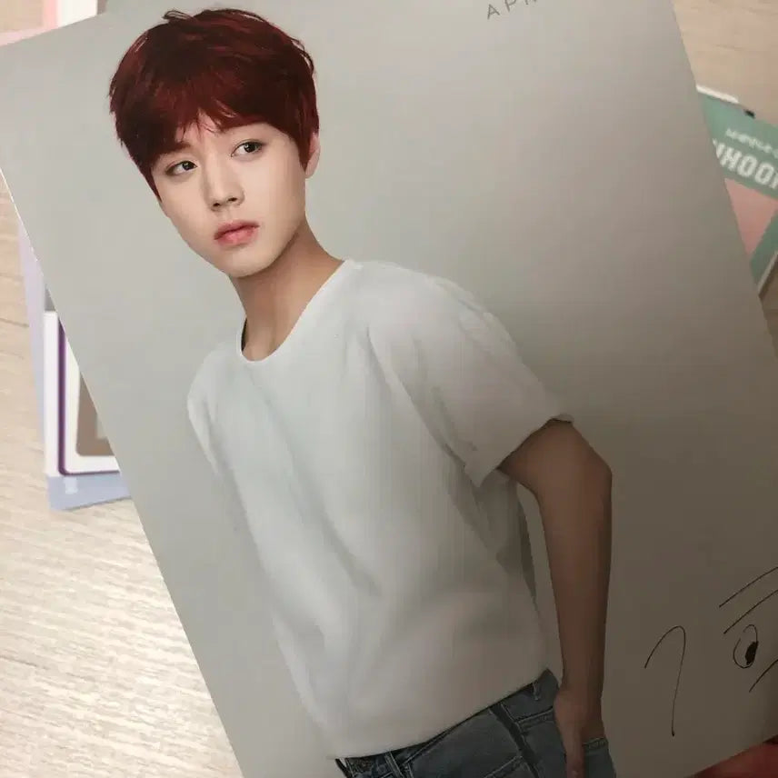[BUNJANG] Park Jihoon Aprilskin Postcard Set / 박지훈 에이프릴스킨 엽서세트