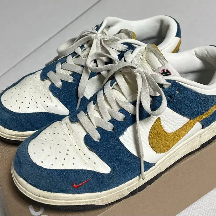 [BUNJANG] Nike Kasina Dunk Low 80&