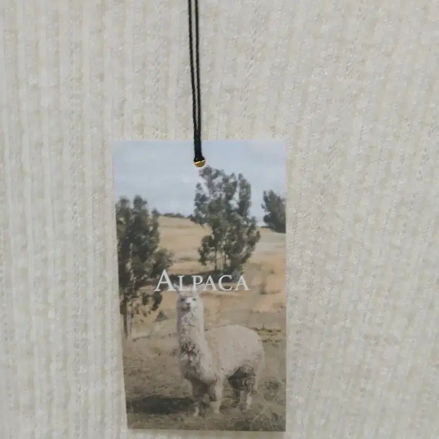 [BUNJANG] Miele Alpaca Knit Sweater / Miele 미엘 알파카 니트(새상품)