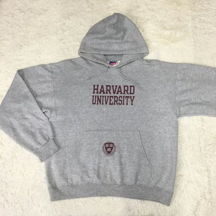 [BUNJANG] Champion Harvard Hoodie CC31 / 챔피온 하버드 후드티 CC31