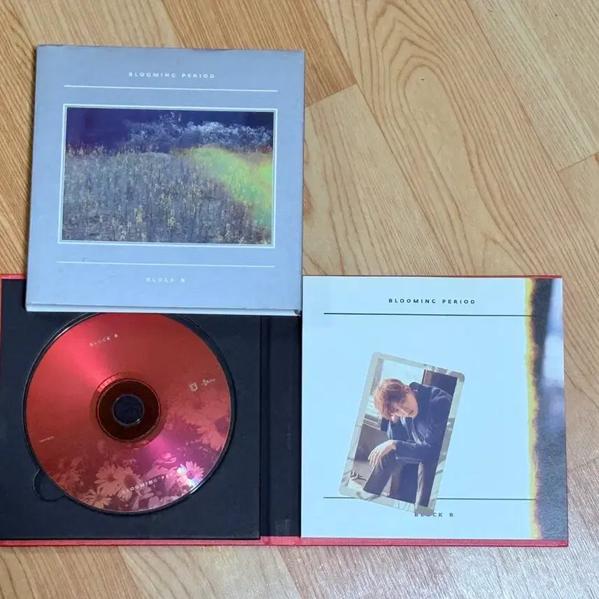 [SOLD OUT] [BUNJANG] Block B U-Kwon Toy Album Photocard / 블락비 Toy 토이 앨범 Blooming Period 포카 유권