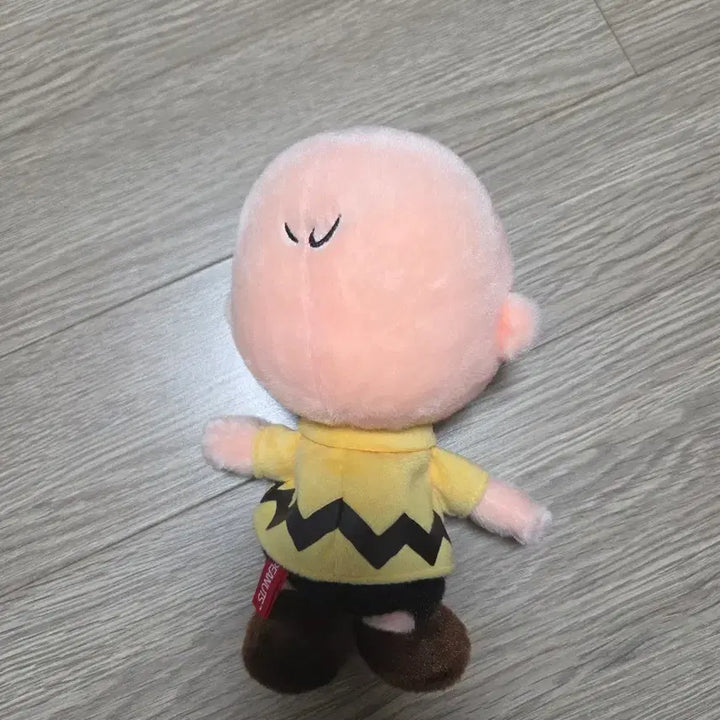 [BUNJANG] Charlie Brown Plush Doll / 찰리 브라운 인형