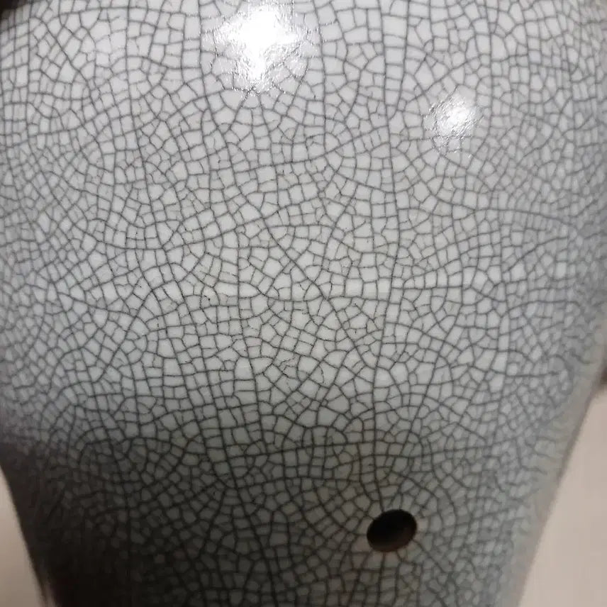 [BUNJANG] Antique Celadon Porcelain Vase / 골동빙렬철화석란도화병