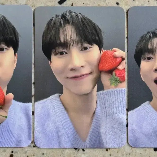 [BUNJANG] Seo Eun-kwang POB Photocard Set / 서은광 링크 미공포