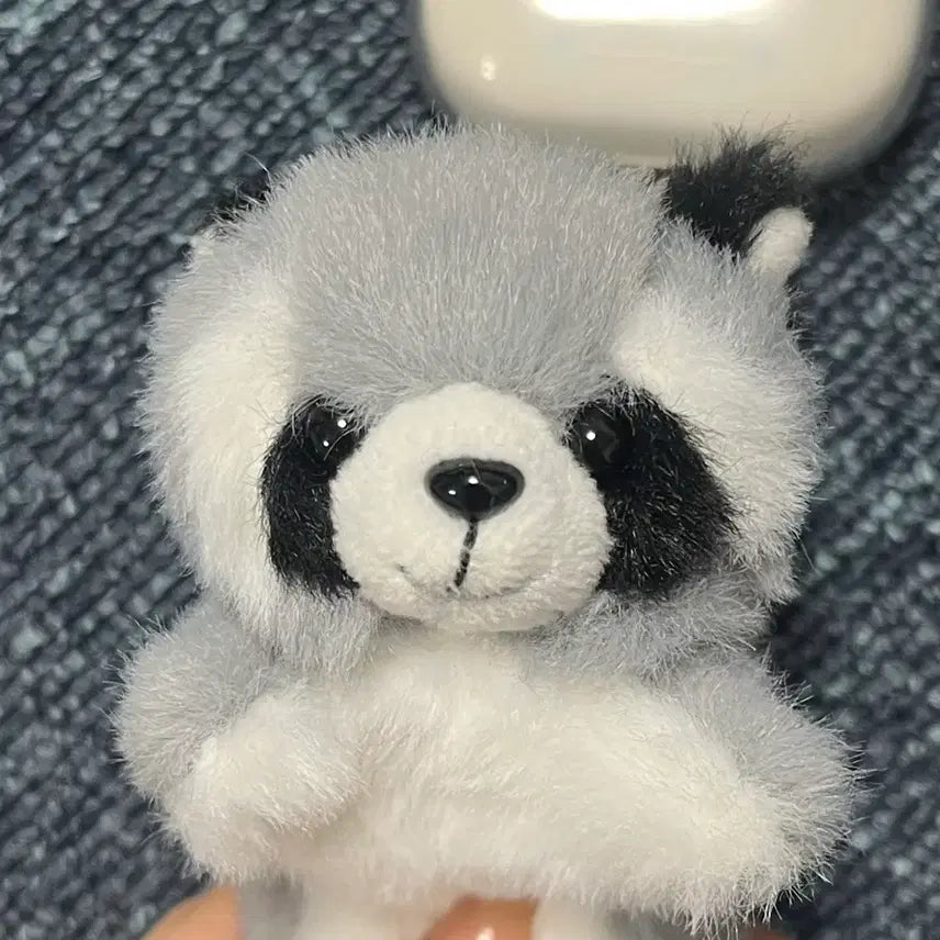 [BUNJANG] Raccoon Keychain Doll / 라쿤 너구리 키링 인형