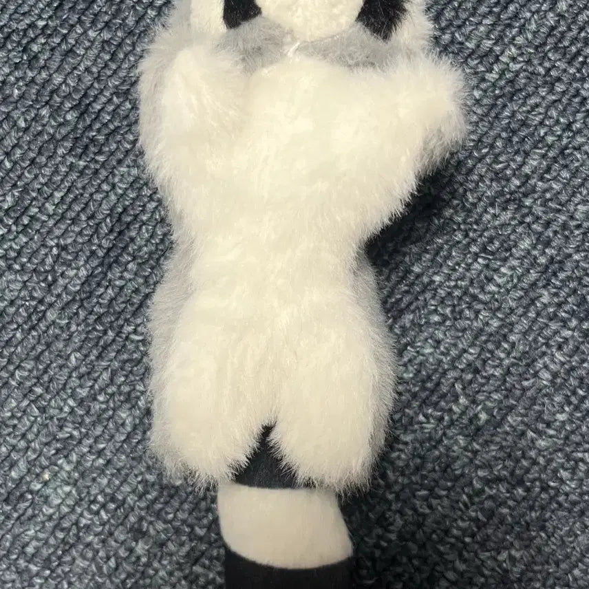 [BUNJANG] Raccoon Keychain Doll / 라쿤 너구리 키링 인형