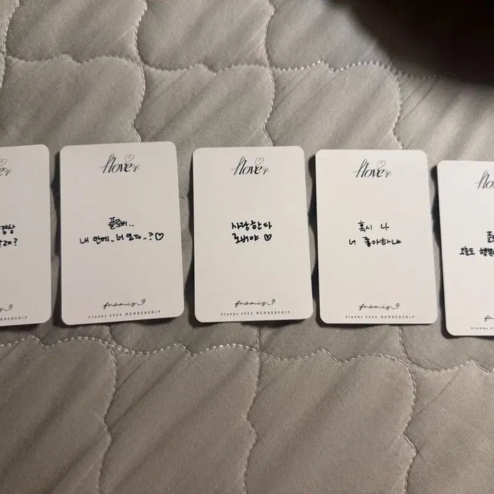 [BUNJANG] fromis_9 2025 Membership Kit Bundle Set Photocard / 프로미스나인 멤버쉽 포카