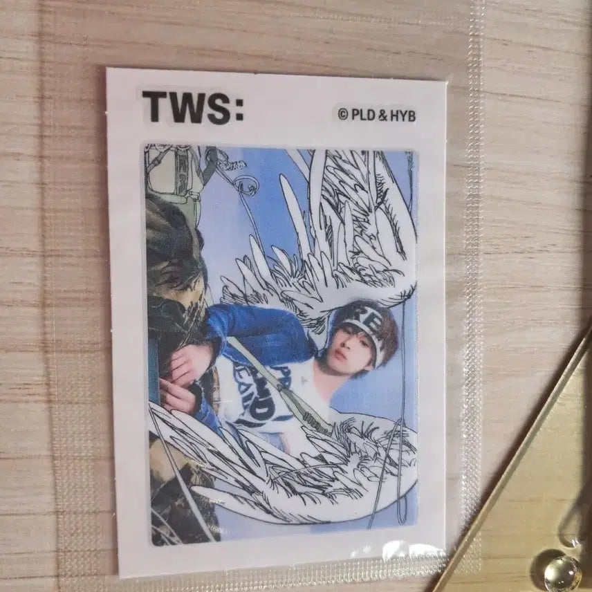 [BUNJANG] TWS Sticker / 투어스 띠부씰