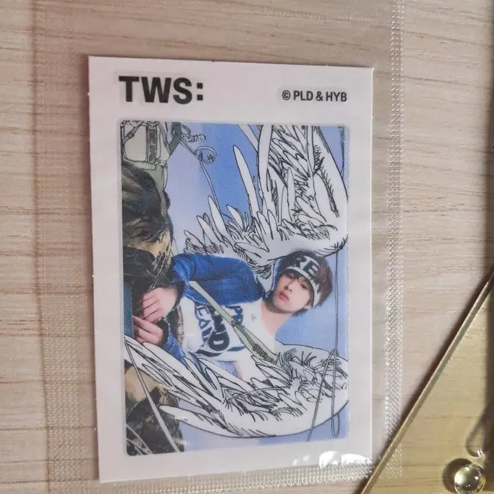 [BUNJANG] TWS Sticker / 투어스 띠부씰